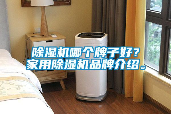 除濕機(jī)哪個牌子好？家用除濕機(jī)品牌介紹。
