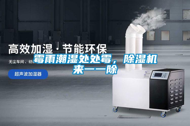 霉雨潮濕處處霉,除濕機(jī)來一一除