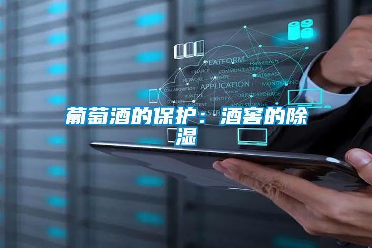 葡萄酒的保護(hù):酒窖的除濕