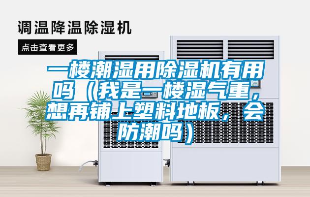 一樓潮濕用除濕機有用嗎（我是一樓濕氣重，想再鋪上塑料地板，會防潮嗎）