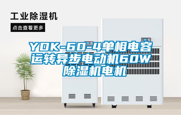 YDK-60-4單相電容運(yùn)轉(zhuǎn)異步電動機(jī)60W 除濕機(jī)電機(jī)