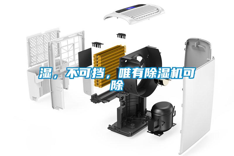 濕，不可擋，唯有除濕機(jī)可除