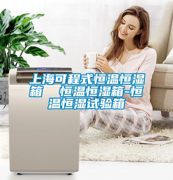上海可程式恒溫恒濕箱 恒溫恒濕箱-恒溫恒濕試驗(yàn)箱