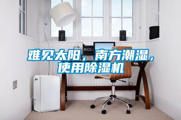 難見太陽，南方潮濕，使用除濕機