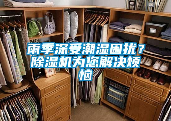 雨季深受潮濕困擾？除濕機(jī)為您解決煩惱