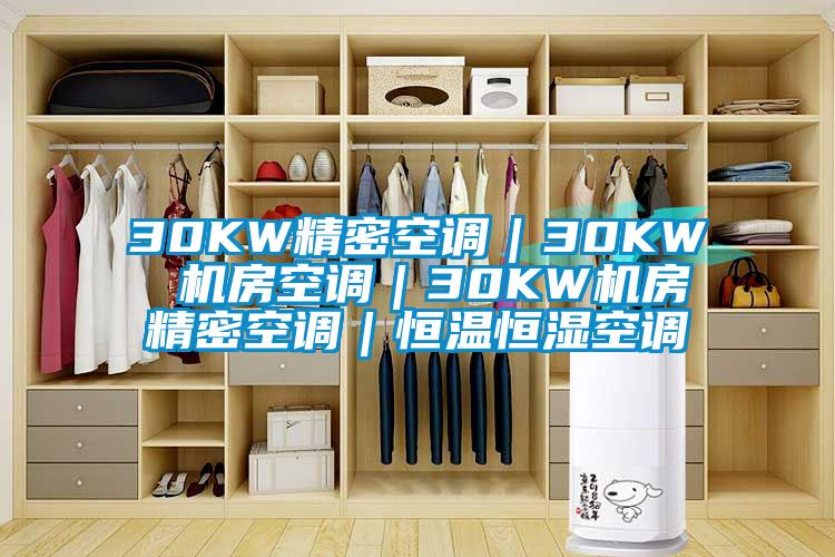 30KW精密空調(diào)|30KW 機(jī)房空調(diào)|30KW機(jī)房精密空調(diào)|恒溫恒濕空調(diào)
