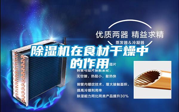 除濕機在食材干燥中的作用