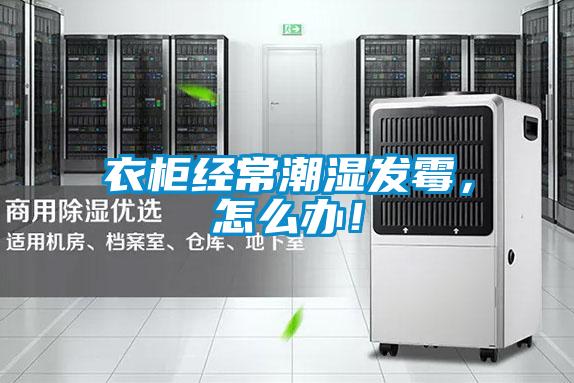 衣柜經(jīng)常潮濕發(fā)霉，怎么辦！