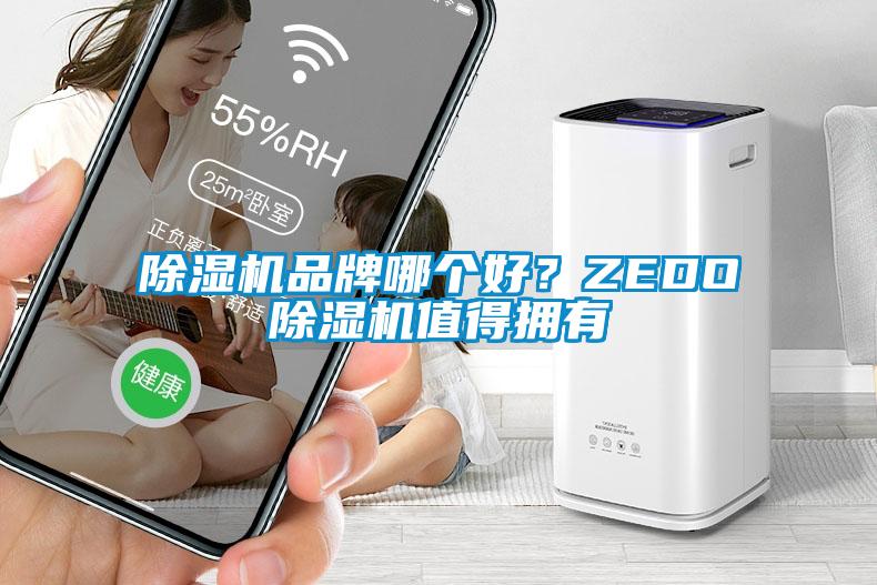 除濕機品牌哪個好？ZEDO除濕機值得擁有