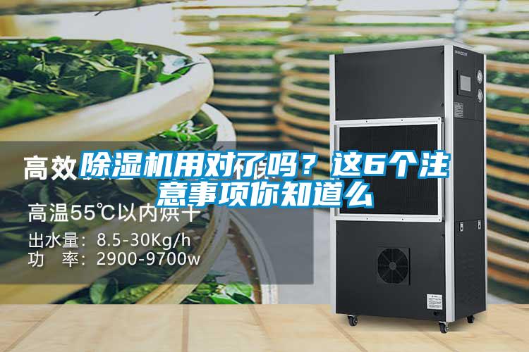 除濕機用對了嗎？這6個注意事項你知道么