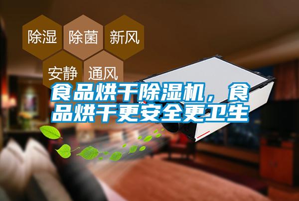 食品烘干除濕機，食品烘干更安全更衛(wèi)生