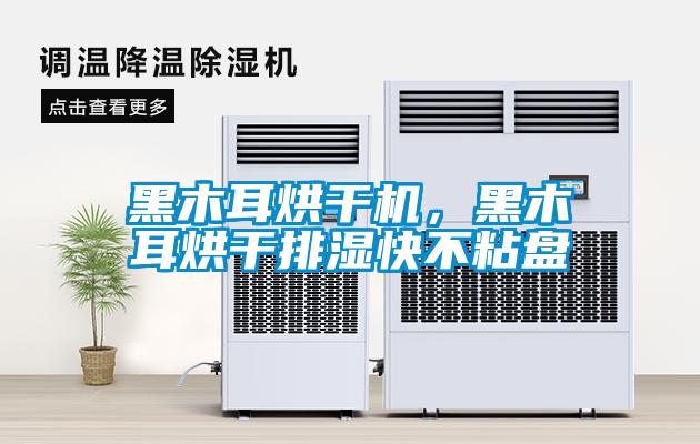 黑木耳烘干機，黑木耳烘干排濕快不粘盤