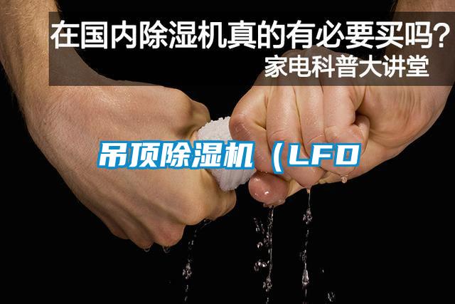 吊頂除濕機(jī)(LFD