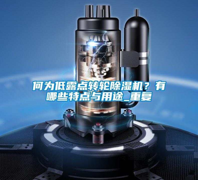 何為低露點轉輪除濕機？有哪些特點與用途_重復