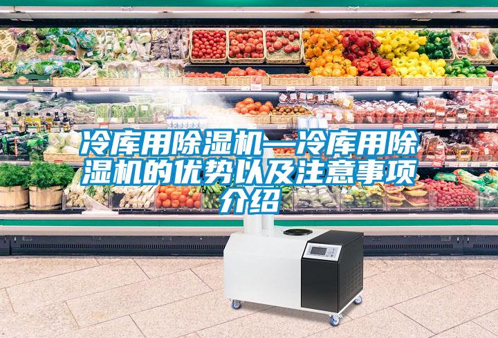 冷庫用除濕機—冷庫用除濕機的優(yōu)勢以及注意事項介紹
