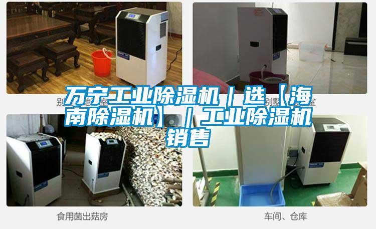 萬寧工業(yè)除濕機|選【海南除濕機】|工業(yè)除濕機銷售