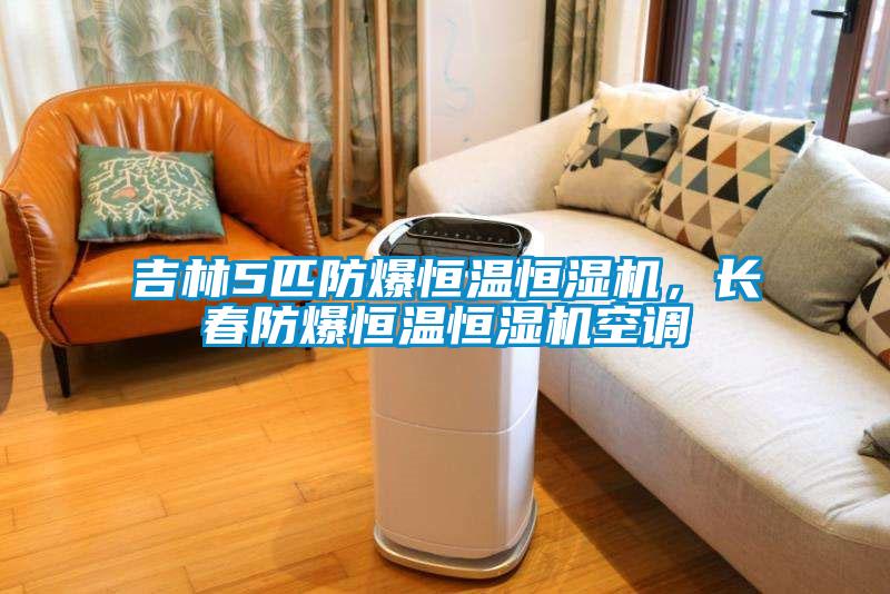 吉林5匹防爆恒溫恒濕機,長春防爆恒溫恒濕機空調(diào)