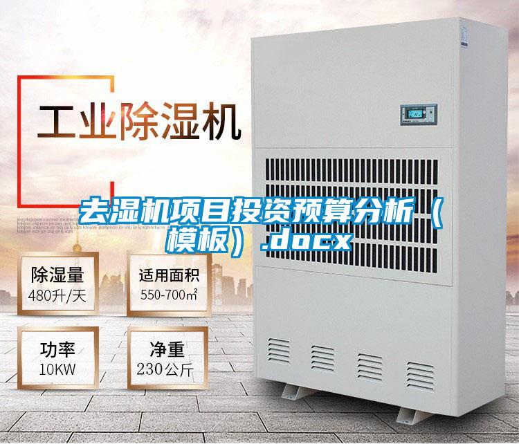 去濕機(jī)項(xiàng)目投資預(yù)算分析(模板).docx