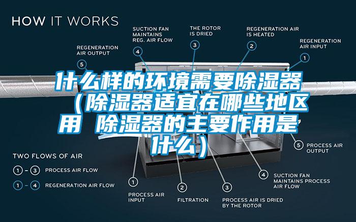 什么樣的環(huán)境需要除濕器(除濕器適宜在哪些地區(qū)用 除濕器的主要作用是什么)