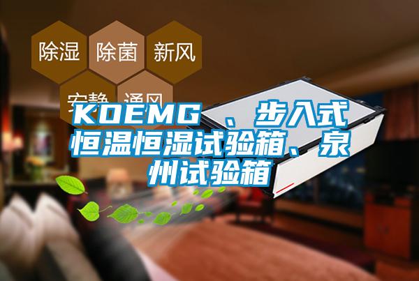 KOEMG 、步入式恒溫恒濕試驗(yàn)箱、泉州試驗(yàn)箱