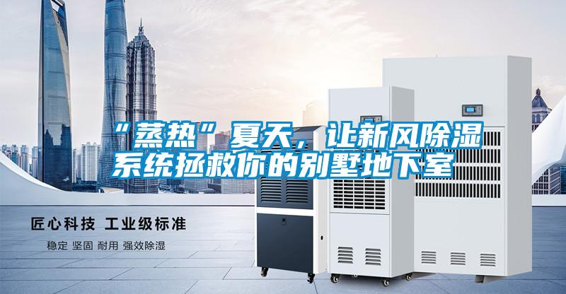 “蒸熱”夏天，讓新風(fēng)除濕系統(tǒng)拯救你的別墅地下室