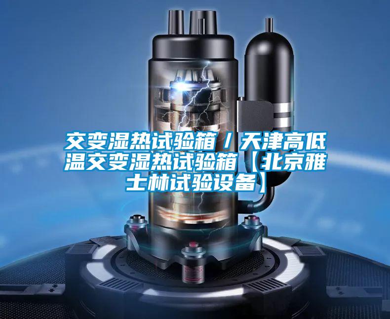 交變濕熱試驗(yàn)箱/天津高低溫交變濕熱試驗(yàn)箱【北京雅士林試驗(yàn)設(shè)備】