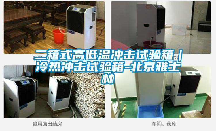 二箱式高低溫沖擊試驗(yàn)箱|冷熱沖擊試驗(yàn)箱-北京雅士林