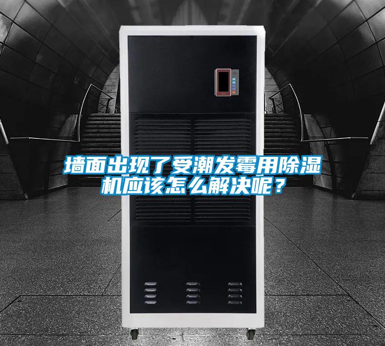 墻面出現(xiàn)了受潮發(fā)霉用除濕機應該怎么解決呢？