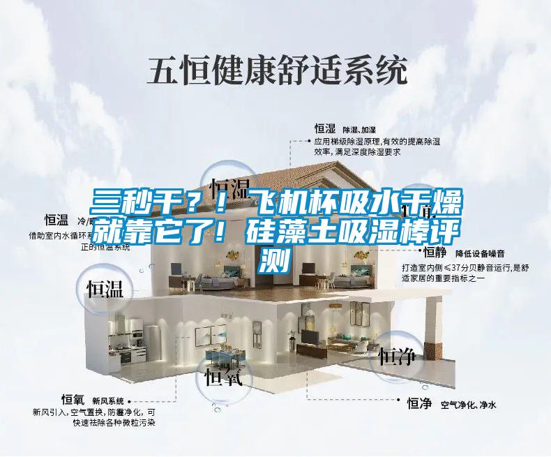 三秒干？! 飛機杯吸水干燥就靠它了! 硅藻土吸濕棒評測
