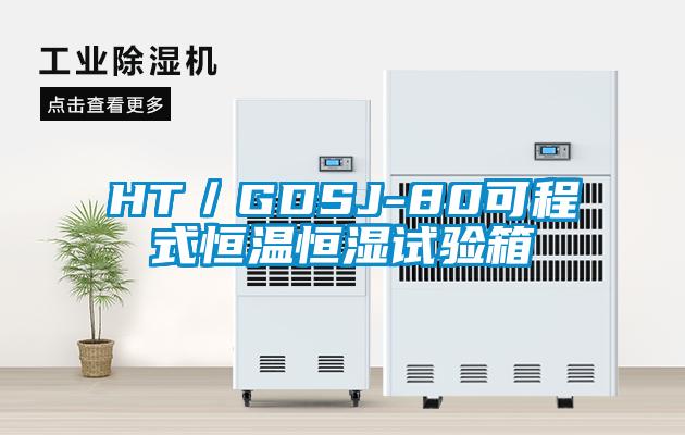 HT/GDSJ-80可程式恒溫恒濕試驗(yàn)箱