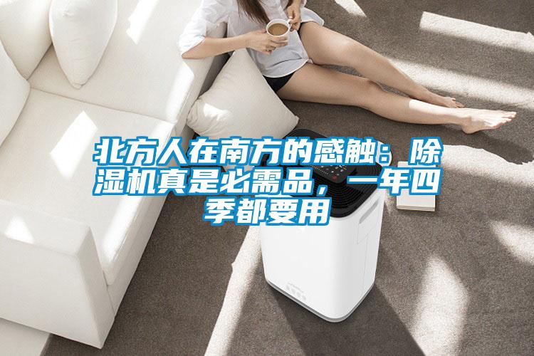 北方人在南方的感觸：除濕機(jī)真是必需品，一年四季都要用