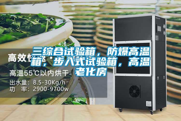 三綜合試驗(yàn)箱，防爆高溫箱，步入式試驗(yàn)箱，高溫老化房