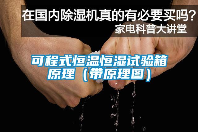 可程式恒溫恒濕試驗(yàn)箱原理(帶原理圖)