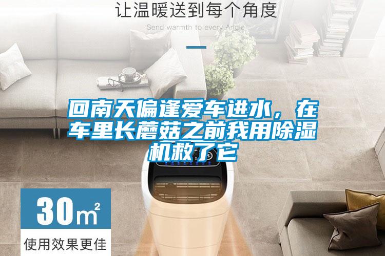 回南天偏逢愛(ài)車(chē)進(jìn)水，在車(chē)?yán)镩L(zhǎng)蘑菇之前我用除濕機(jī)救了它
