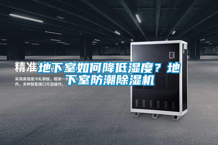 地下室如何降低濕度？地下室防潮除濕機