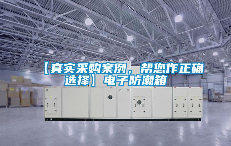 【真實采購案例，幫您作正確選擇】電子防潮箱