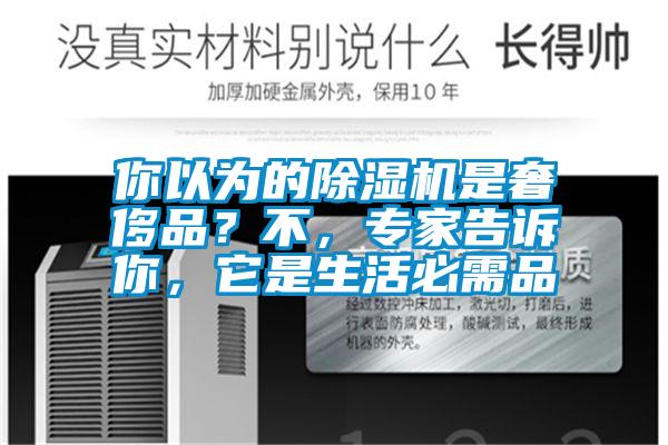 你以為的除濕機(jī)是奢侈品？不，專家告訴你，它是生活必需品