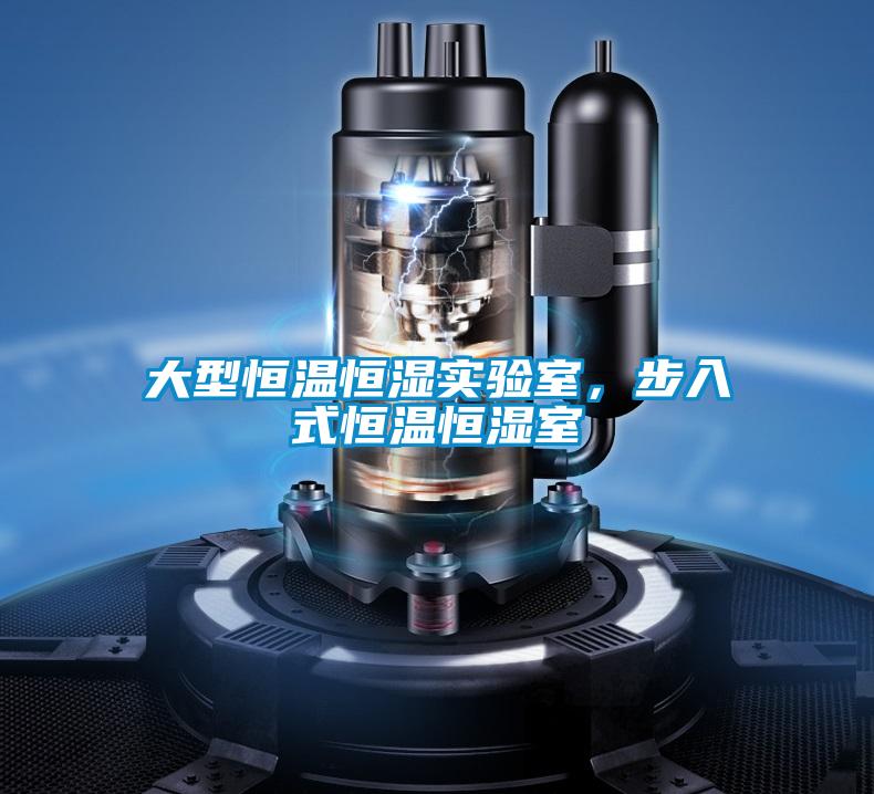 大型恒溫恒濕實(shí)驗(yàn)室，步入式恒溫恒濕室