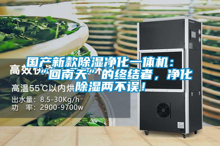 國(guó)產(chǎn)新款除濕凈化一體機(jī)：“回南天”的終結(jié)者，凈化除濕兩不誤！