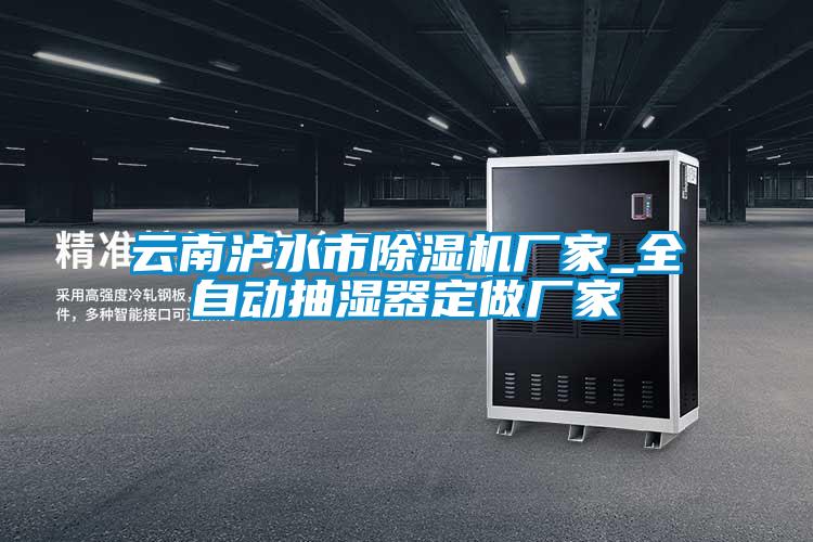 云南瀘水市除濕機(jī)廠家_全自動抽濕器定做廠家
