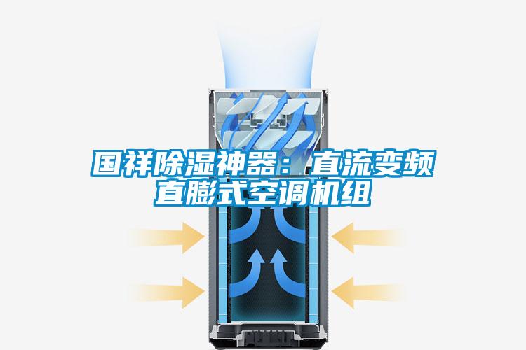 國祥除濕神器:直流變頻直膨式空調(diào)機(jī)組