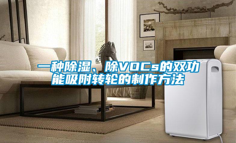 一種除濕、除VOCs的雙功能吸附轉輪的制作方法