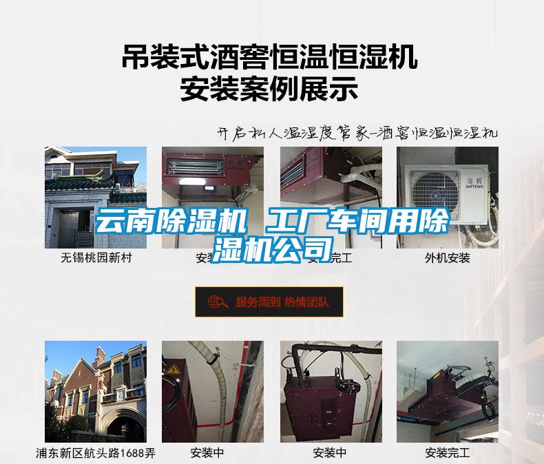 云南除濕機(jī) 工廠車(chē)間用除濕機(jī)公司