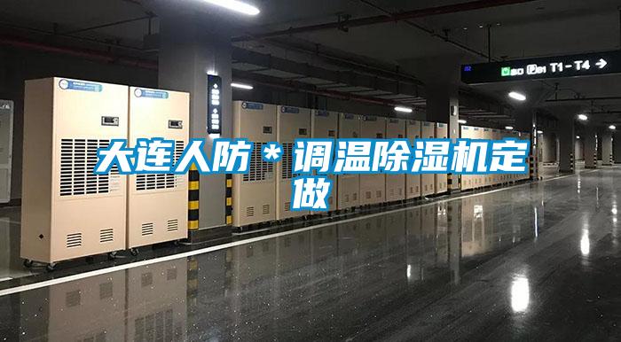 大連人防*調(diào)溫除濕機定做
