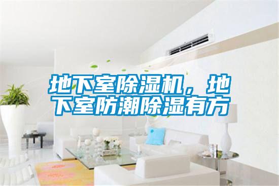 地下室除濕機(jī)，地下室防潮除濕有方