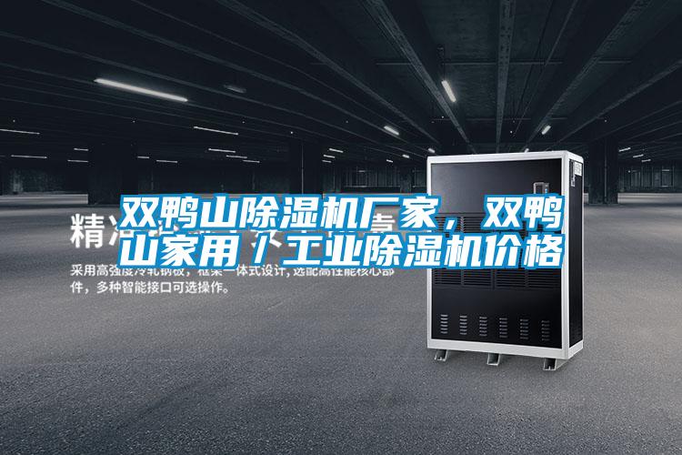 雙鴨山除濕機(jī)廠家，雙鴨山家用／工業(yè)除濕機(jī)價(jià)格