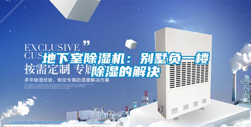 地下室除濕機(jī):別墅負(fù)一樓除濕的解決