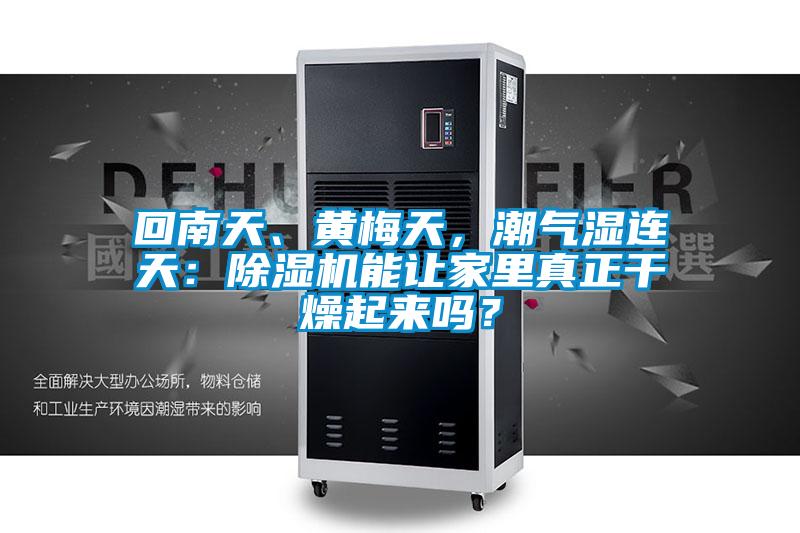 回南天、黃梅天，潮氣濕連天：除濕機能讓家里真正干燥起來嗎？