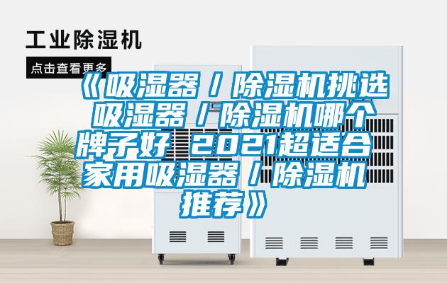 《吸濕器/除濕機(jī)挑選 吸濕器/除濕機(jī)哪個(gè)牌子好 2021超適合家用吸濕器/除濕機(jī)推薦》