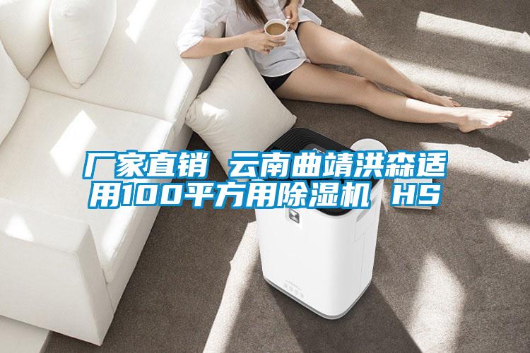 廠家直銷 云南曲靖洪森適用100平方用除濕機(jī) HS